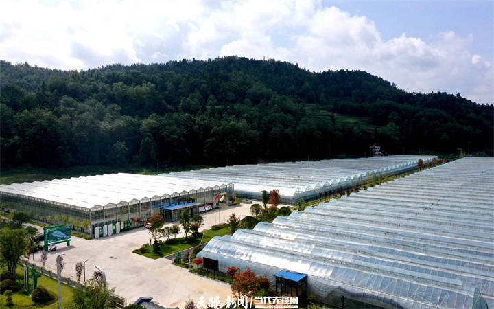 “綠”動(dòng)貴州｜生態(tài)農(nóng)業(yè)讓貴州鄉(xiāng)村“長(zhǎng)”出新模樣:生態(tài)農(nóng)業(yè)