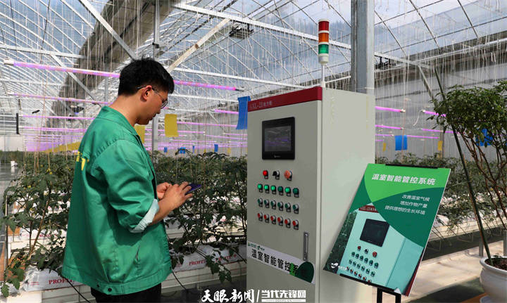 “綠”動(dòng)貴州｜生態(tài)農(nóng)業(yè)讓貴州鄉(xiāng)村“長(zhǎng)”出新模樣:生態(tài)農(nóng)業(yè)