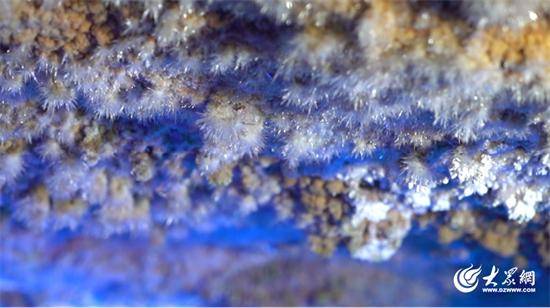 喜訊<strong></p>
<p>生態(tài)景觀</strong>！淄博市沂源九天洞入選《全球巖溶景觀與生態(tài)環(huán)境圖集》:生態(tài)景觀