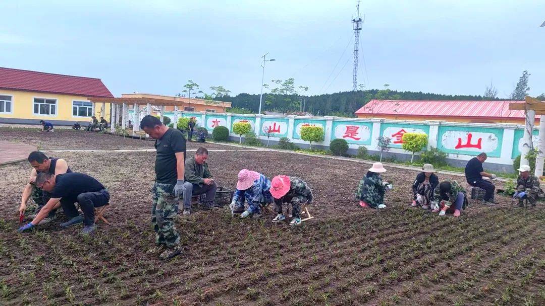 【生態(tài)立企】西平林場積極栽植花卉打造美麗林場新景觀:生態(tài)景觀