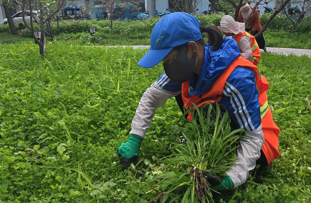 【生態(tài)立企】葦河局公司城鎮(zhèn)環(huán)衛(wèi)管理處開展清除草坪雜草 煥新綠化景觀行動:生態(tài)景觀
