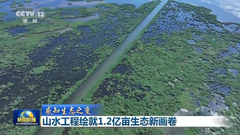 感知生態(tài)之變丨山水工程繪就1.2億畝生態(tài)新畫卷:生態(tài)工程