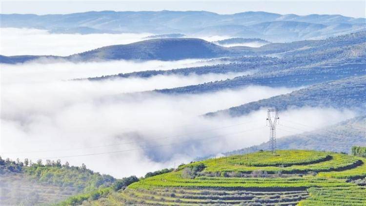 療愈山水 再造山河——寧夏實(shí)施六盤山“山水工程”修補(bǔ)生態(tài)傷疤紀(jì)實(shí):生態(tài)工程