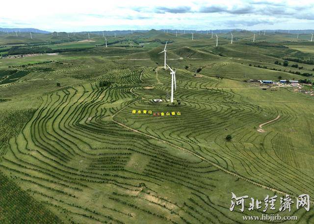 張家口壩上四縣林草局集中揭牌 筑牢“三北”工程生態(tài)屏障:生態(tài)工程