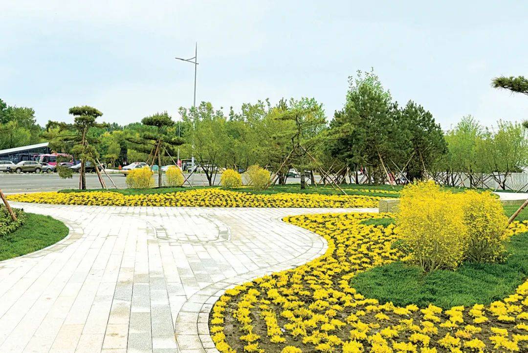 從交通節(jié)點(diǎn)到生態(tài)地標(biāo) 軌道交通站點(diǎn)彩化景觀點(diǎn)亮城市新圖景:生態(tài)景觀