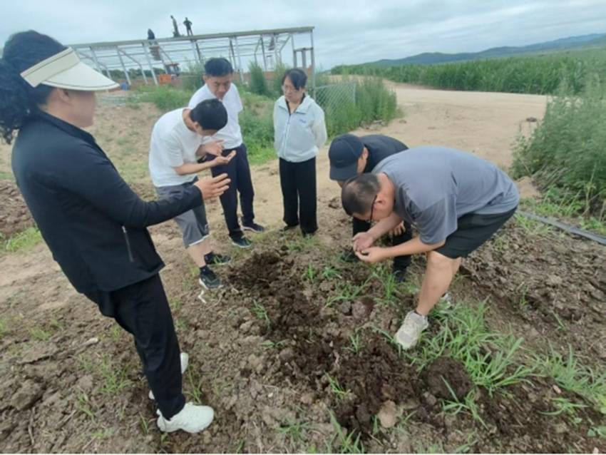 吉林農(nóng)大專家團(tuán)隊走進(jìn)敦化市大石頭鎮(zhèn)三道河子村，為生態(tài)農(nóng)業(yè)發(fā)展“把脈支招”:生態(tài)農(nóng)業(yè)